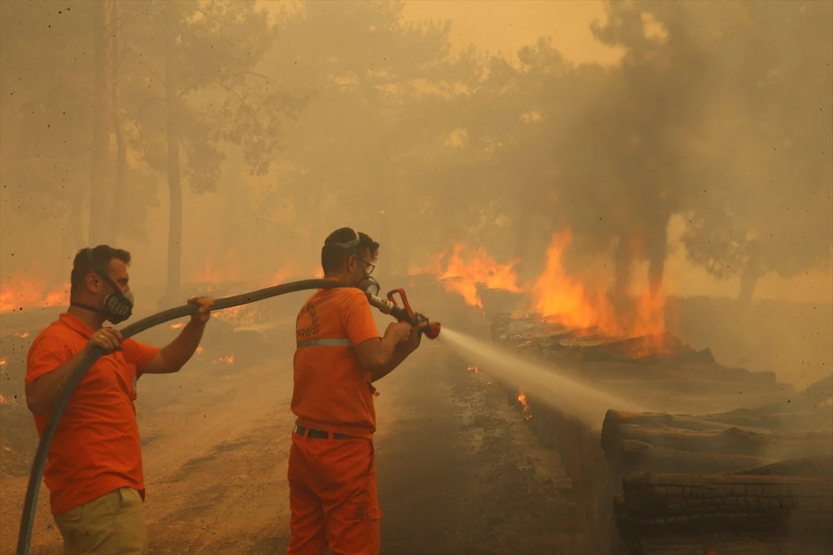 Son Dakika! Çanakkale ve Eskişehir’deki orman yangınları kontrol altına alındı