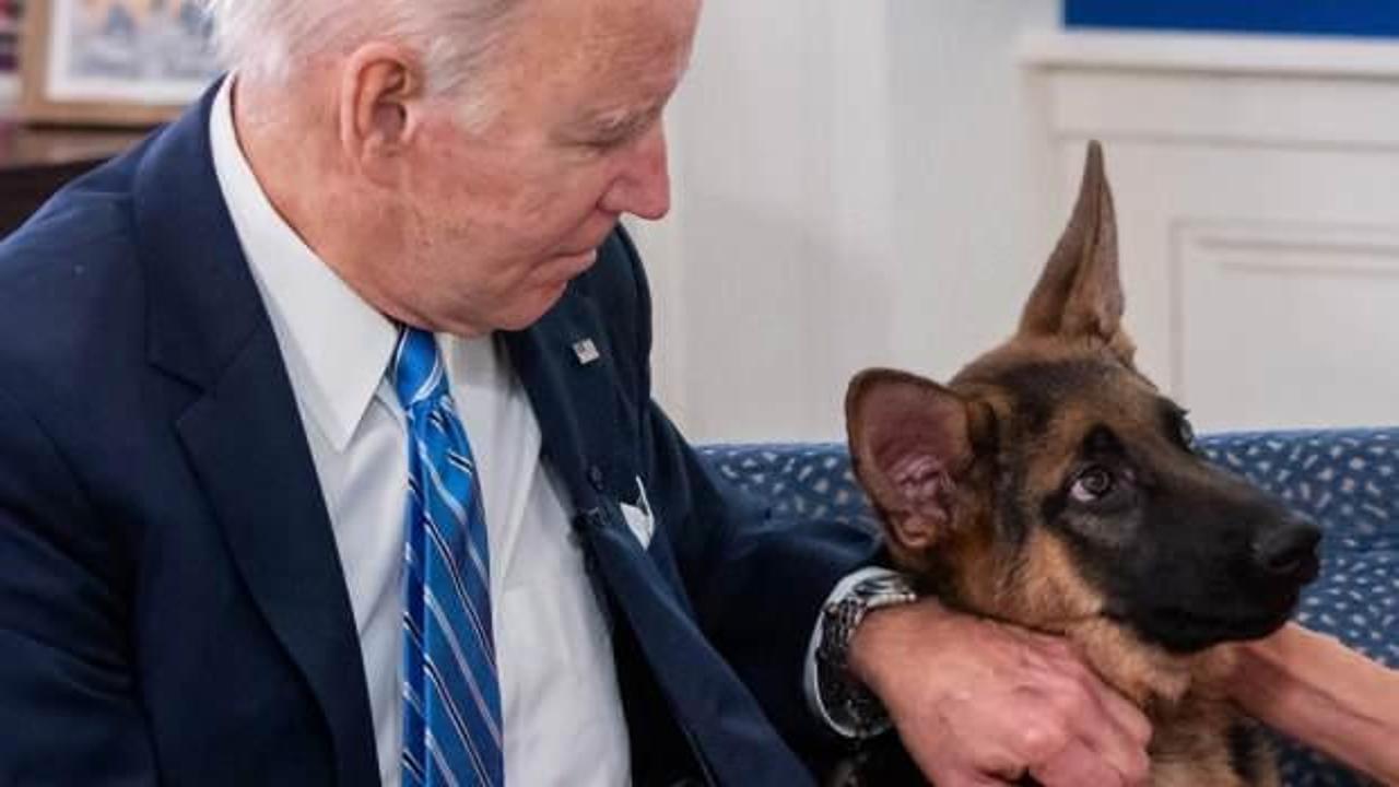 11. vaka: Biden’ın köpeği bir ajanı daha ısırdı