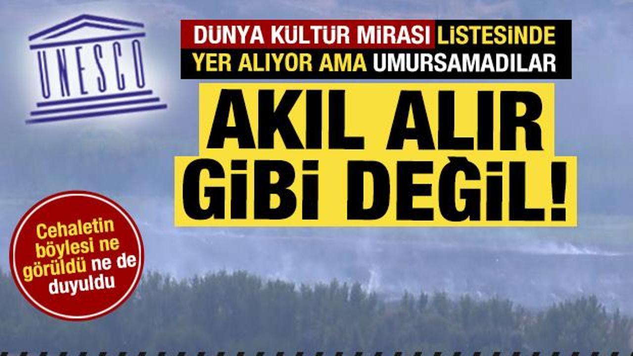 UNESCO listesindeki Hevsel Bahçeleri’nde yangın: Akıl alır gibi değil!