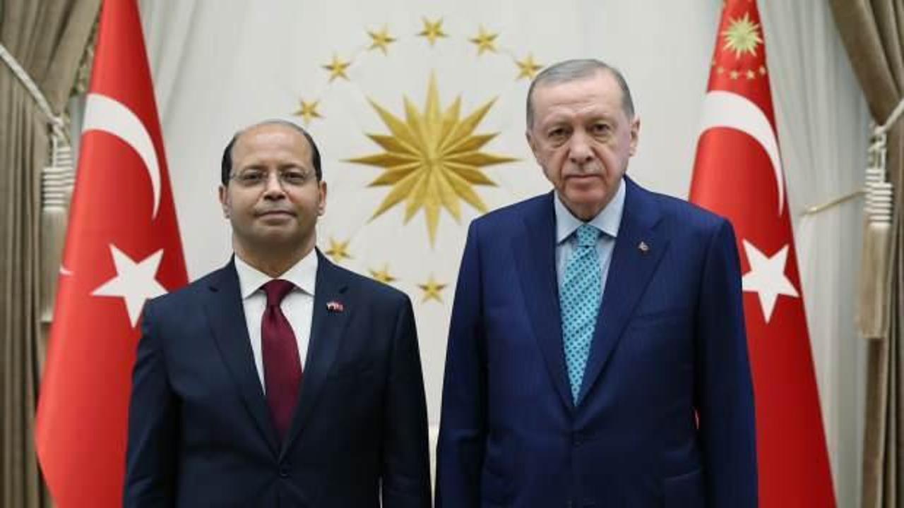 Cumhurbaşkanı Erdoğan’a, Elhamamy’den güven mektubu!