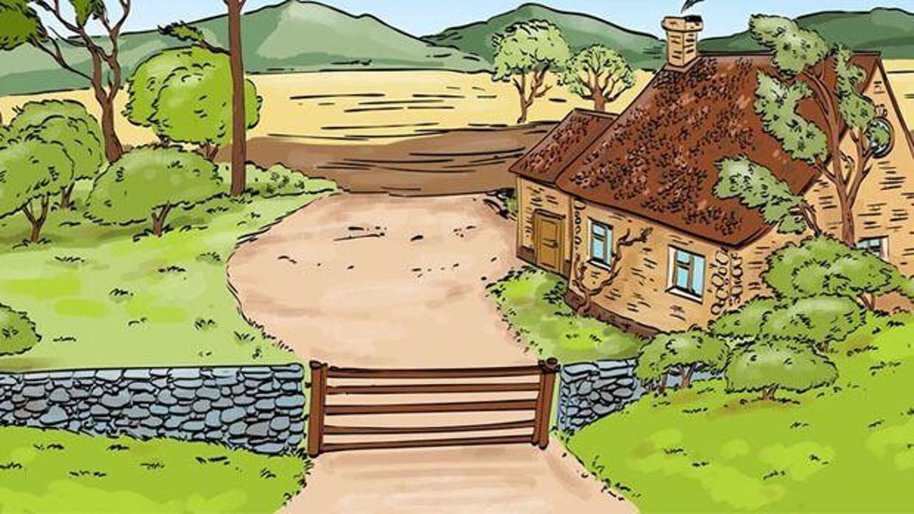 Görsel IQ’nuzu test edecek zekâ oyunu: Fotoğraftaki hatayı 5 saniyede bulabilir misiniz?