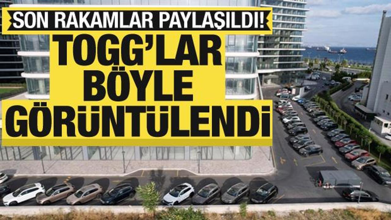 İstanbul’a Togg sevkiyatı! Tırlar dolusu yeni araçlar getirildi