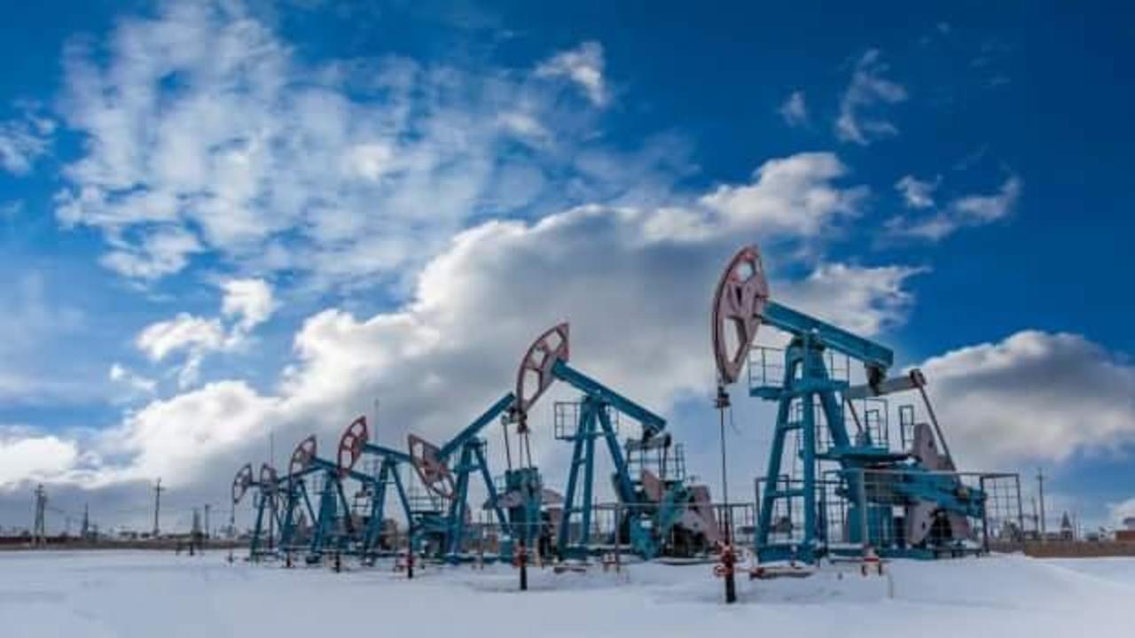 Rusya yasak kararını kaldırdı!