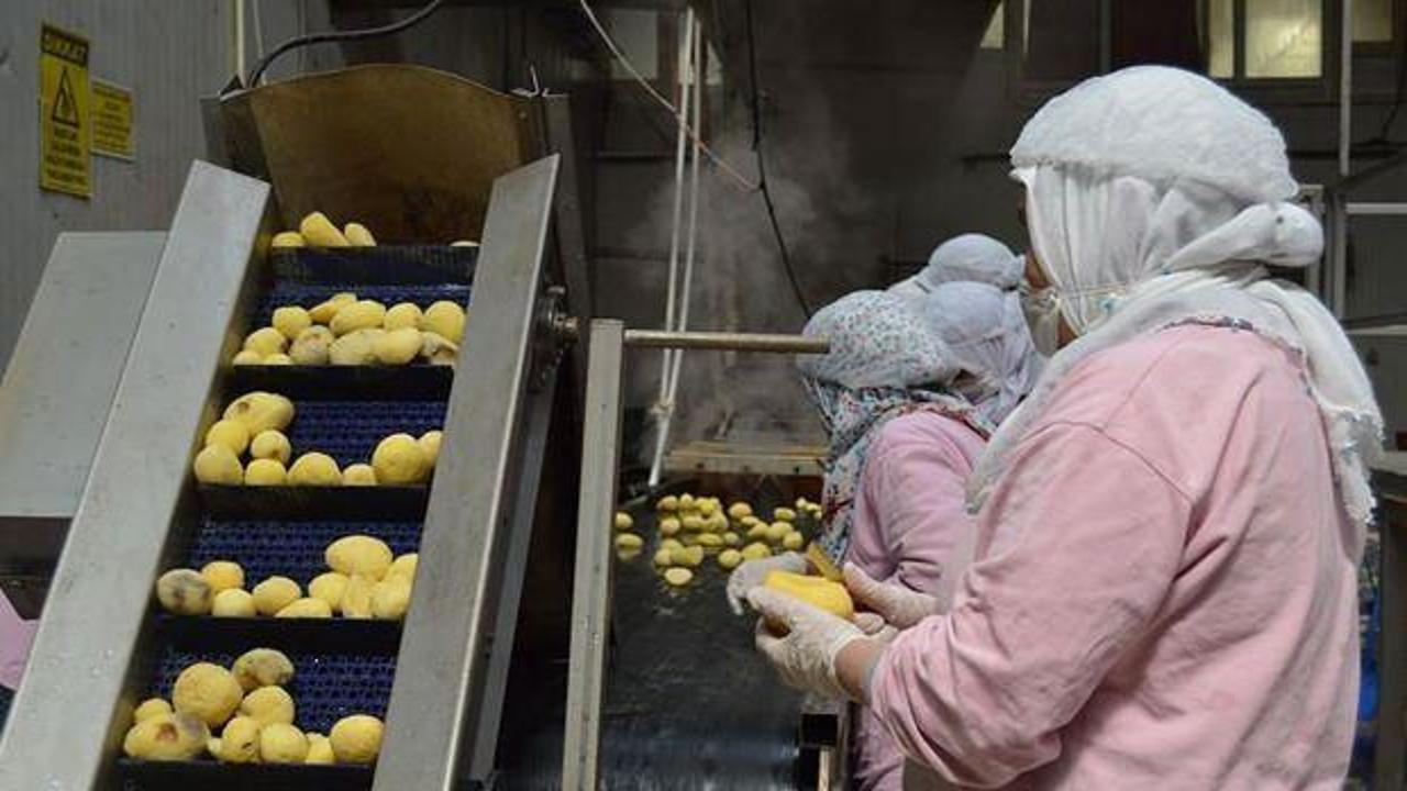 Türkiye’nin en büyük 500 şirketinden 94’ü gıda sektöründen