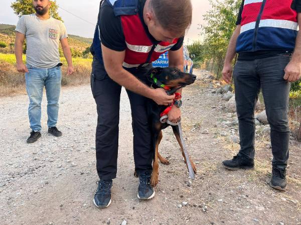 Gizemli bir şekilde kaybolan ekonomist Korhan Berzeg'i arama çalışmaları sonlandırıldı