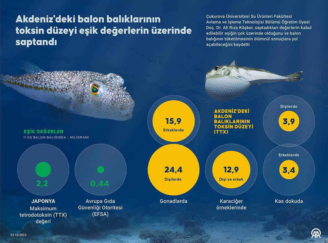 Bu balığa dikkat! Bir çatal almak dahi öldürebilir