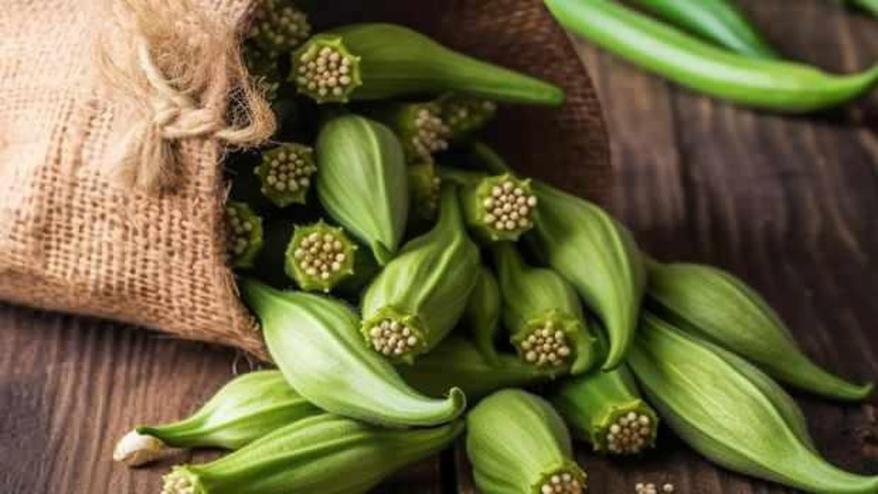 Bamya tohumunun faydaları: Kuru bamya tohumu nasıl kullanılır?