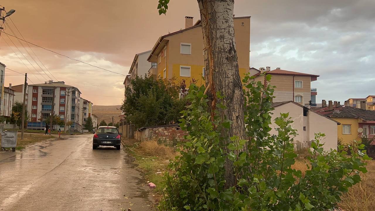 Yıldırım ağaca isabet edince korkudan bayıldı