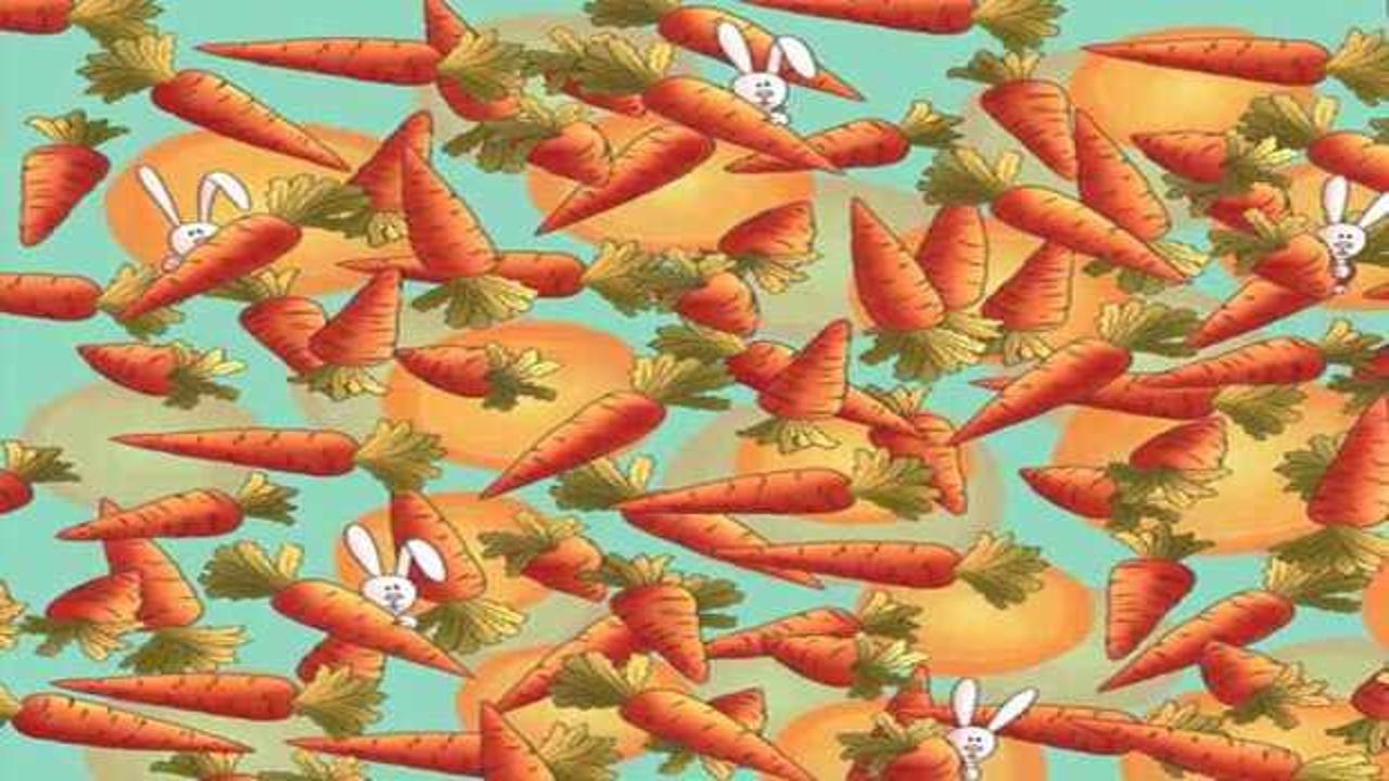 Dedektifler iş başına: 5 saniyede havuçlar arasına gizlenen kalemi bul!