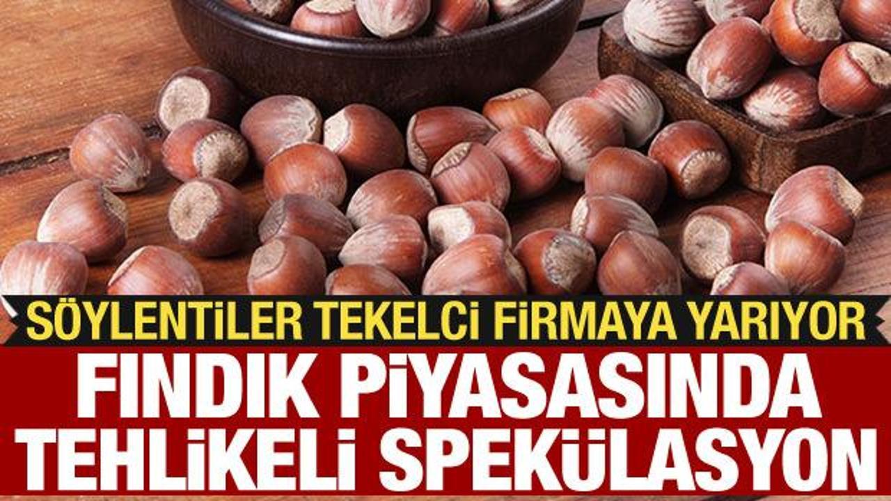 Fındık piyasasında tehlikeli spekülasyon: Söylentiler tekelci firmaya yarıyor