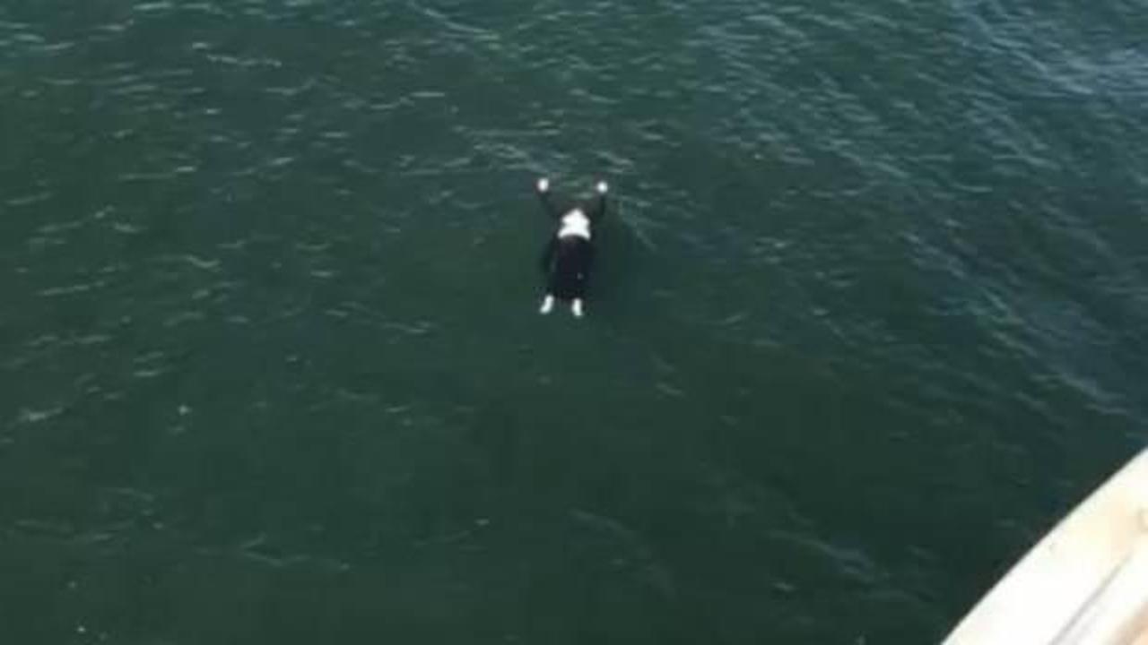 Haliç’te korkunç anlar! Denize düşen kadın bayıldı