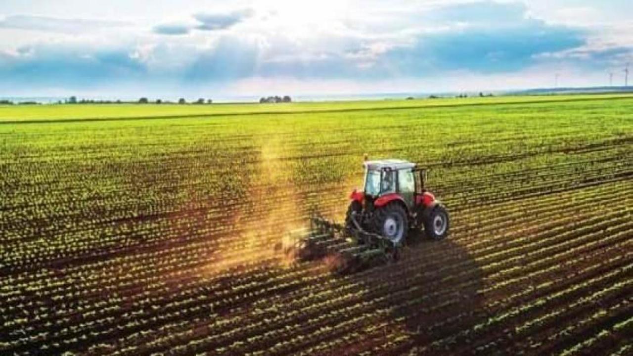 İklim değişikliği, gıda fiyatlarındaki artış ve savaşlar dünyayı açlığa sürüklüyor