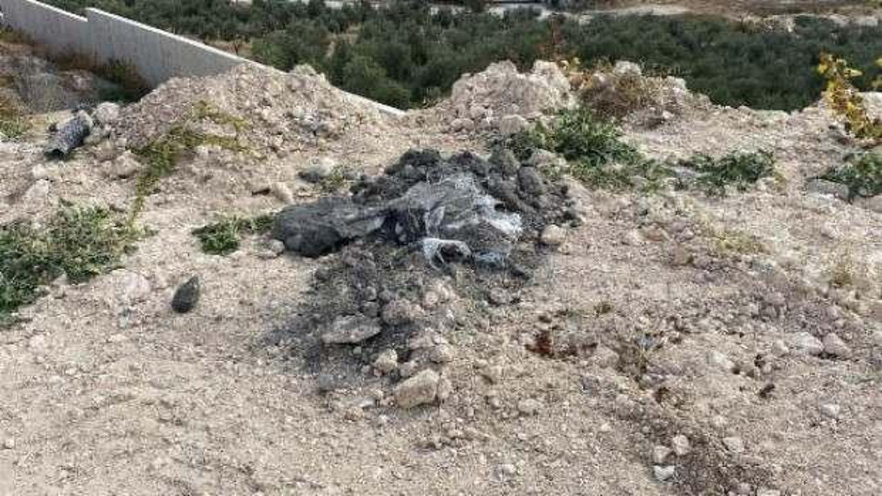 İzmir’de ‘kimyasal atık’ şüphesine inceleme