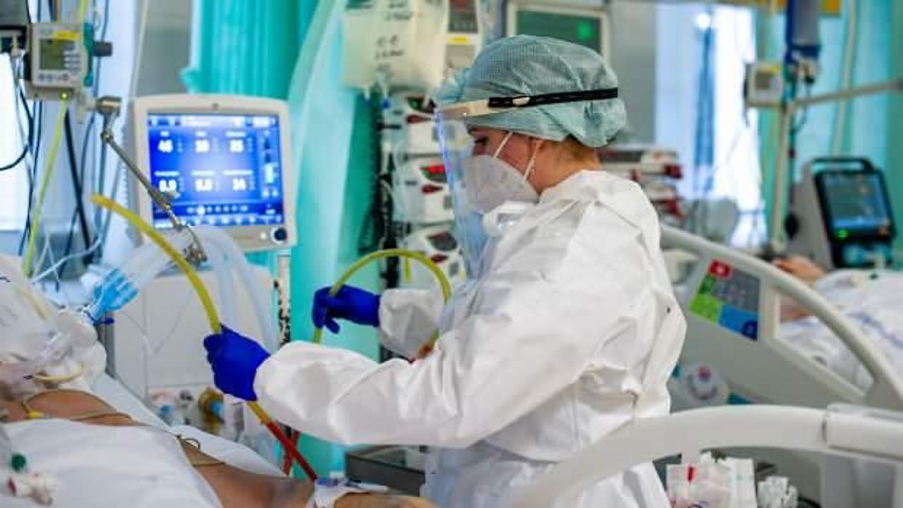 Kovid ile ilgili korkunç gerçek: Otopside ortaya çıktı