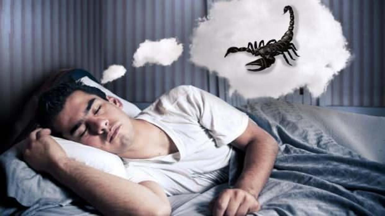 Rüyada akrep görmek ne anlama gelir? Rüyada akrep görmenin tabiri…
