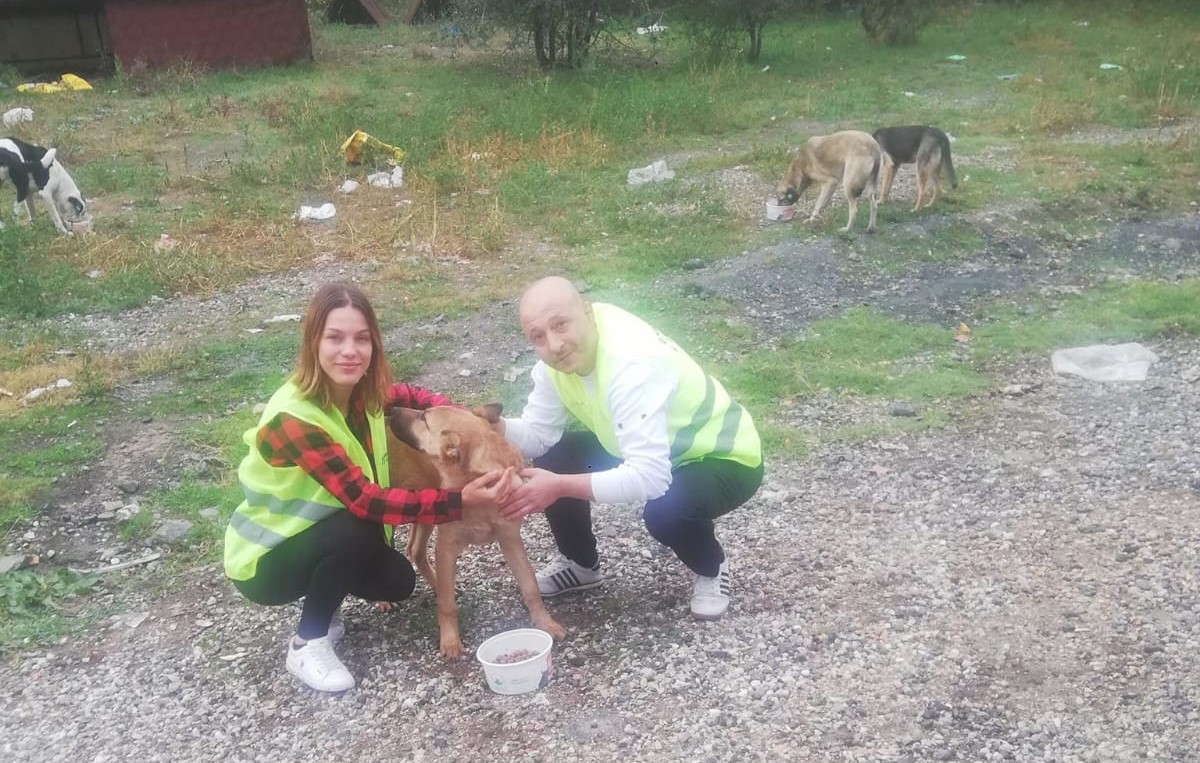 Sahipsiz Patiler Derneği Bursa