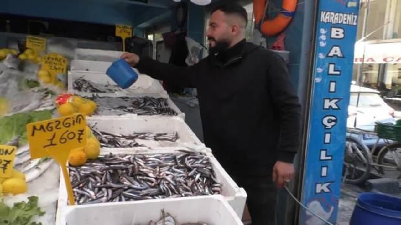 Hamsinin kilo fiyatı 35 liraya düştü