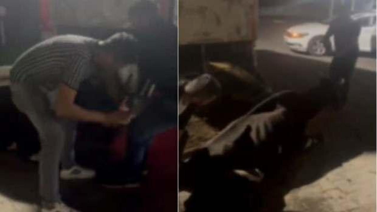 İneğe içki içirip kayda aldılar! Cezaları belli oldu