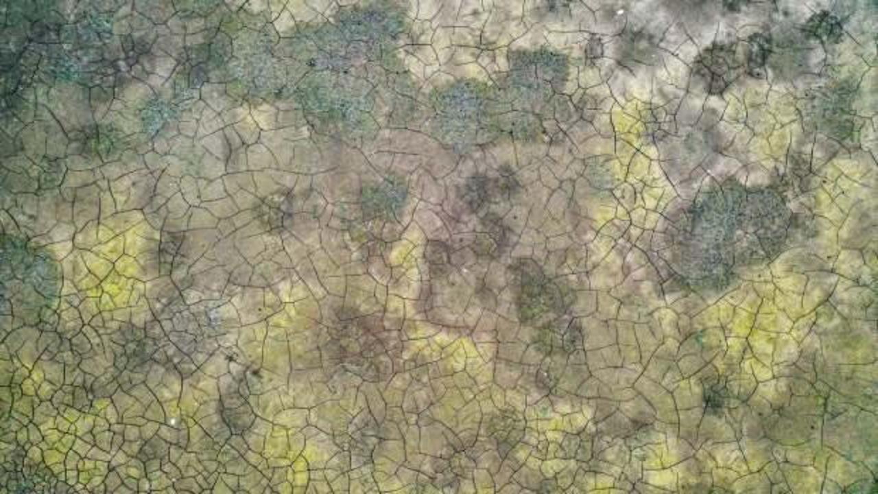 İstanbul’da susuzluk kapıda! İSKİ son verileri yayınladı, profesör uyardı