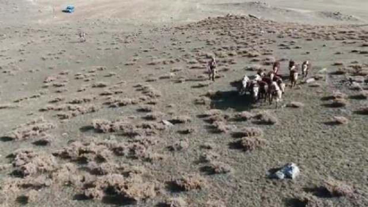 Jandarma, kaybolan 30 ineği dron ile buldu