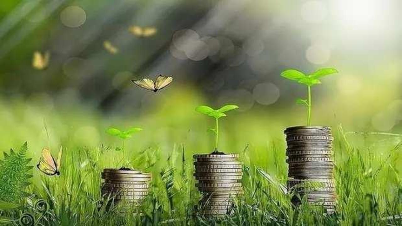 TSKB Türkiye Yeşil Fonu’nu kuruyor