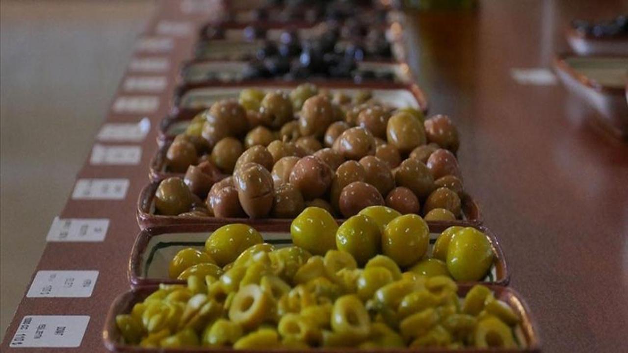 Türkiye, zeytinyağında ‘yok yılı’ndan ‘var yılı’na stok fazlasıyla giriyor
