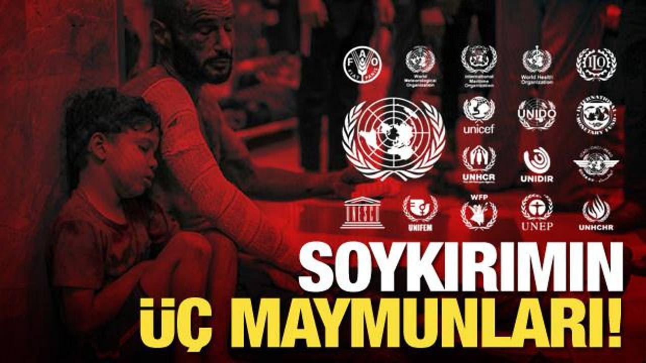 Uluslararası kuruluşlar Gazze’deki soykırıma kör! UNICEF, WHO, IEA, WFP, UNIFEM nerede?