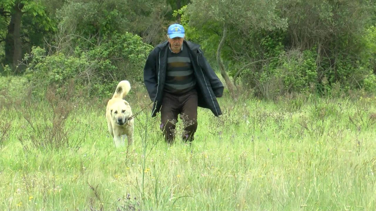 Korhan Berzeg'in kafatası aranıyor