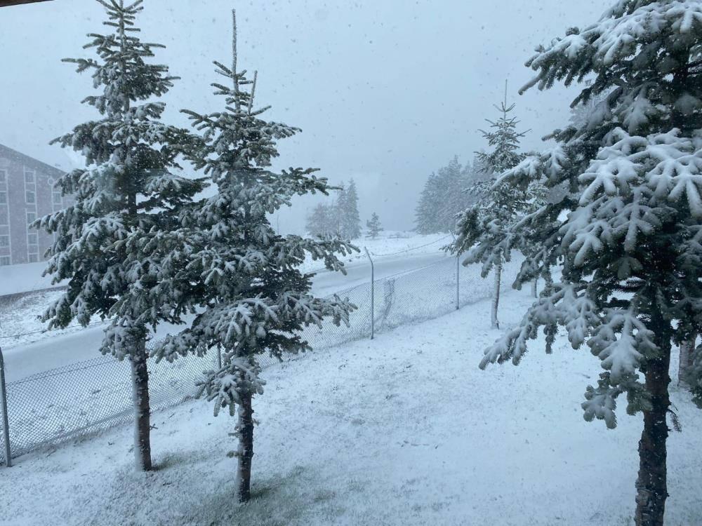 Bolu'da Nisan ayında lapa lapa kar yağdı