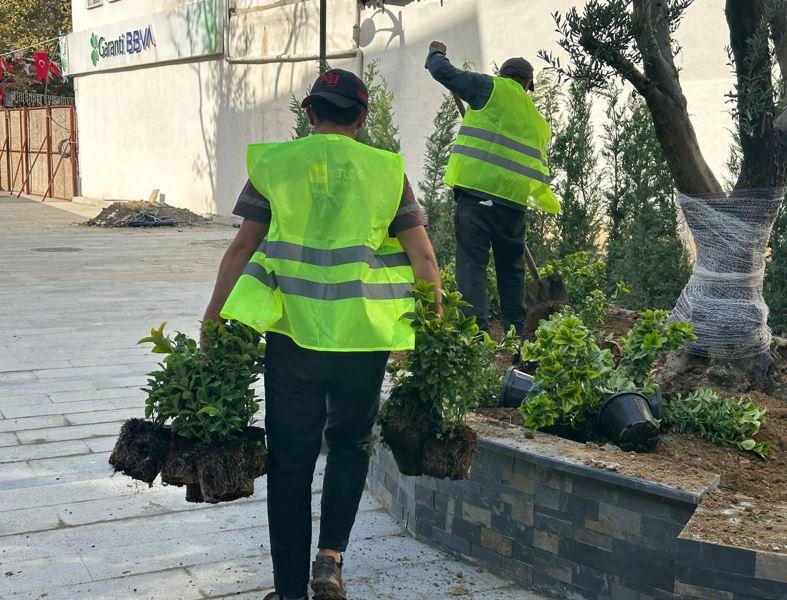 Kâğıthane Belediyesi ilçeye 60 bin ağaç kazandırdı