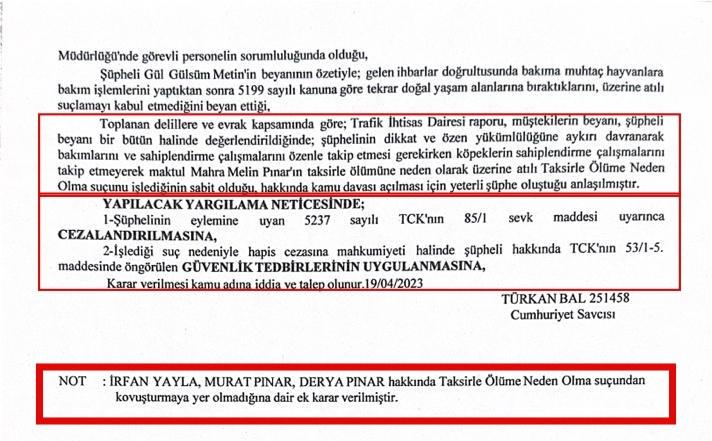 Adli tıp raporları ortaya çıktı! Katilleri başıboş köpekler