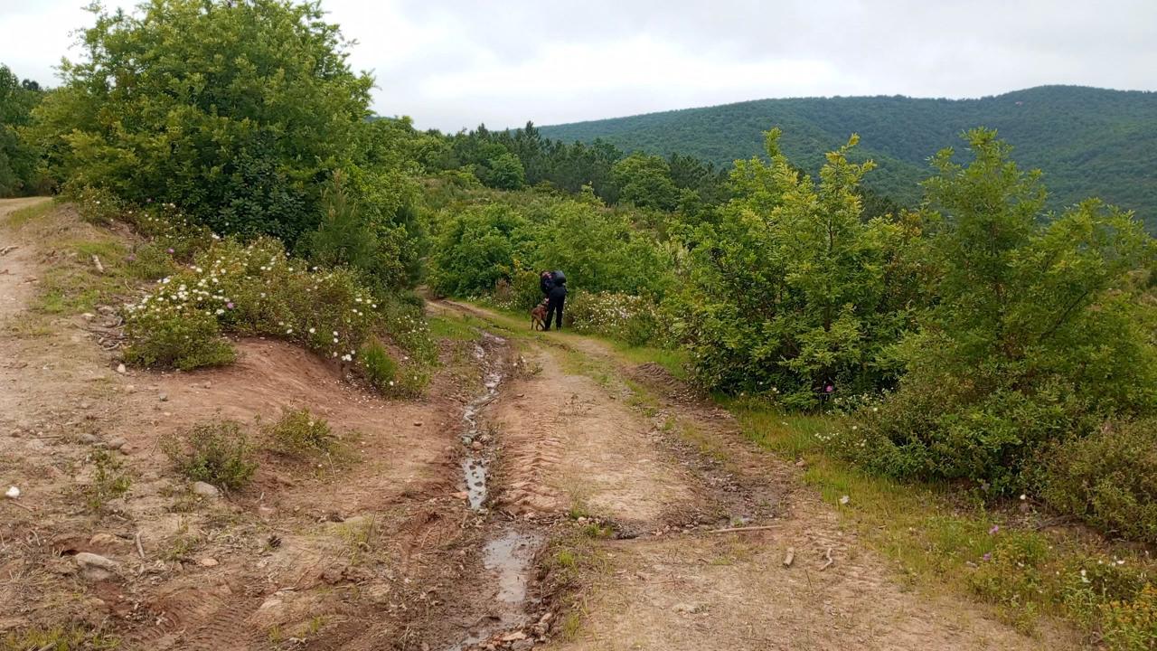 Korhan Berzeg ile ilgili flaş gelişme! Aranan parça bulundu