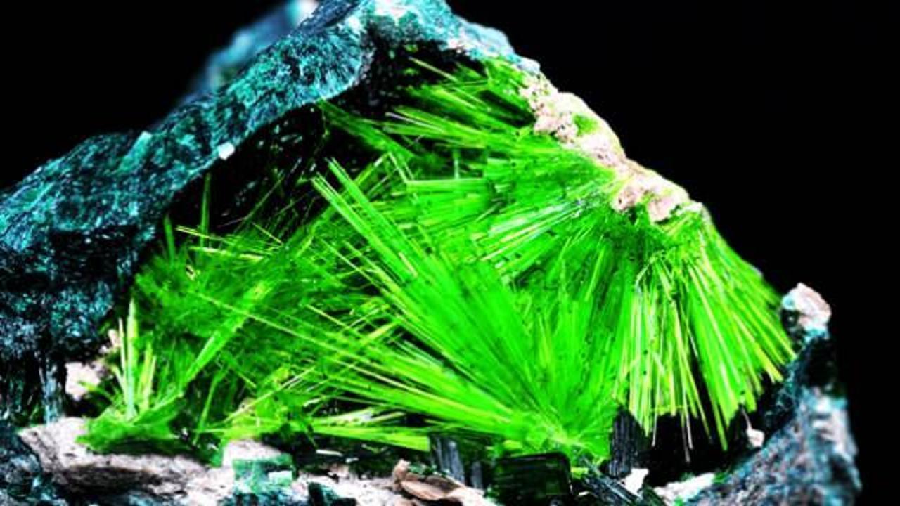 Askerin odasında ölümcül element bulundu! Savunma Bakanlığı harekete geçti!