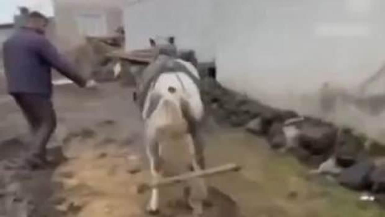 Ata eziyet eden vicdansızlara ceza