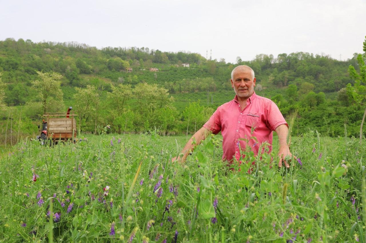 Ordu’da Büyükşehrin tarım makineleri çalışıyor