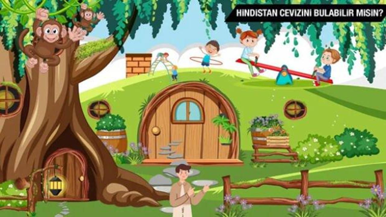 Beyninizin sizi kandırmasına izin vermeyin: Gizli Hindistan cevizini 8 saniyede bulabilir misin?