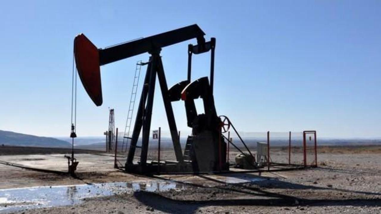 Diyarbakır Barosu petrol arama çalışmalarının iptali için dava açtı