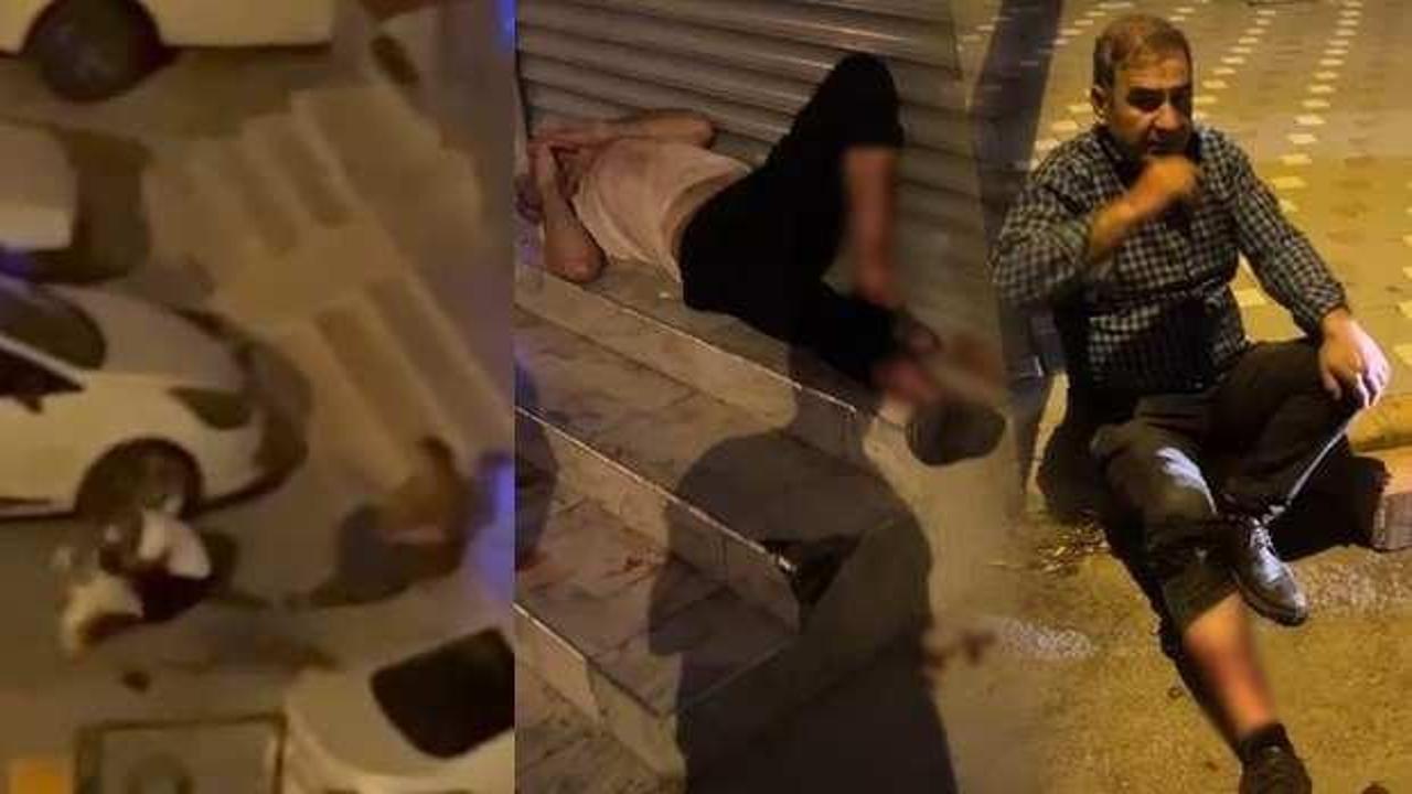 Evden kaçan pitbull dehşet saçtı