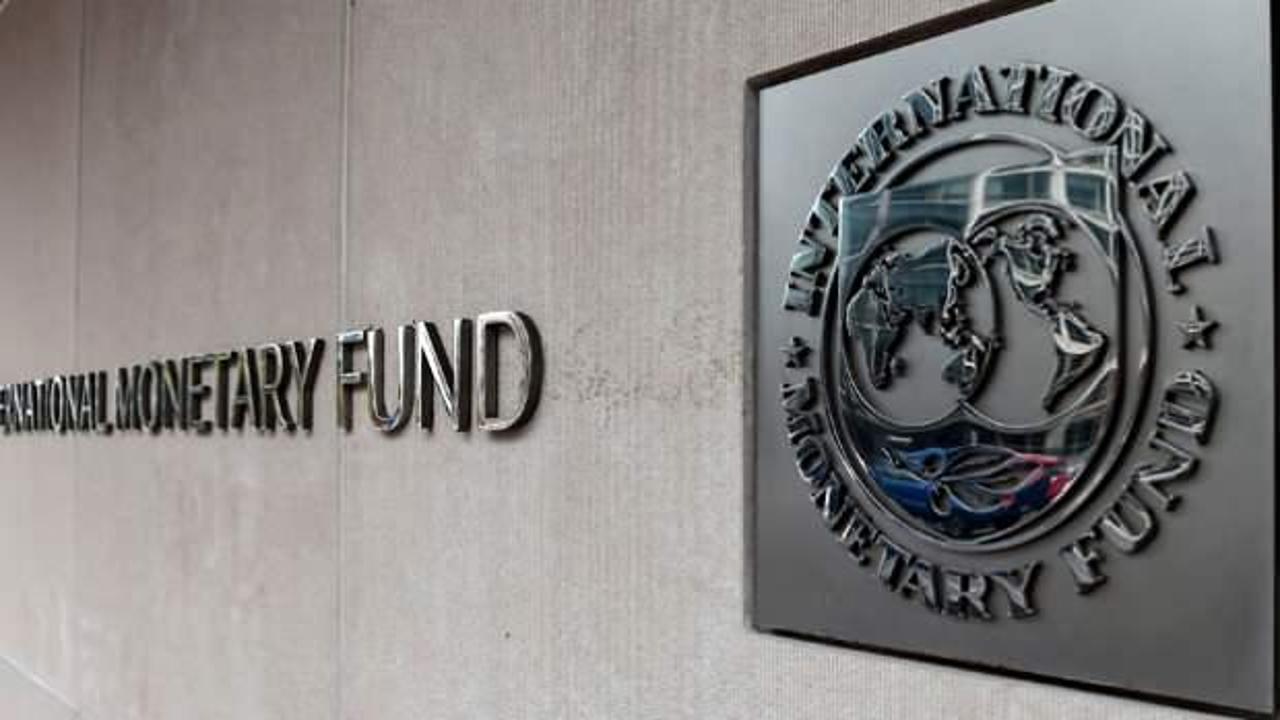 IMF’den özel kredi uyarısı