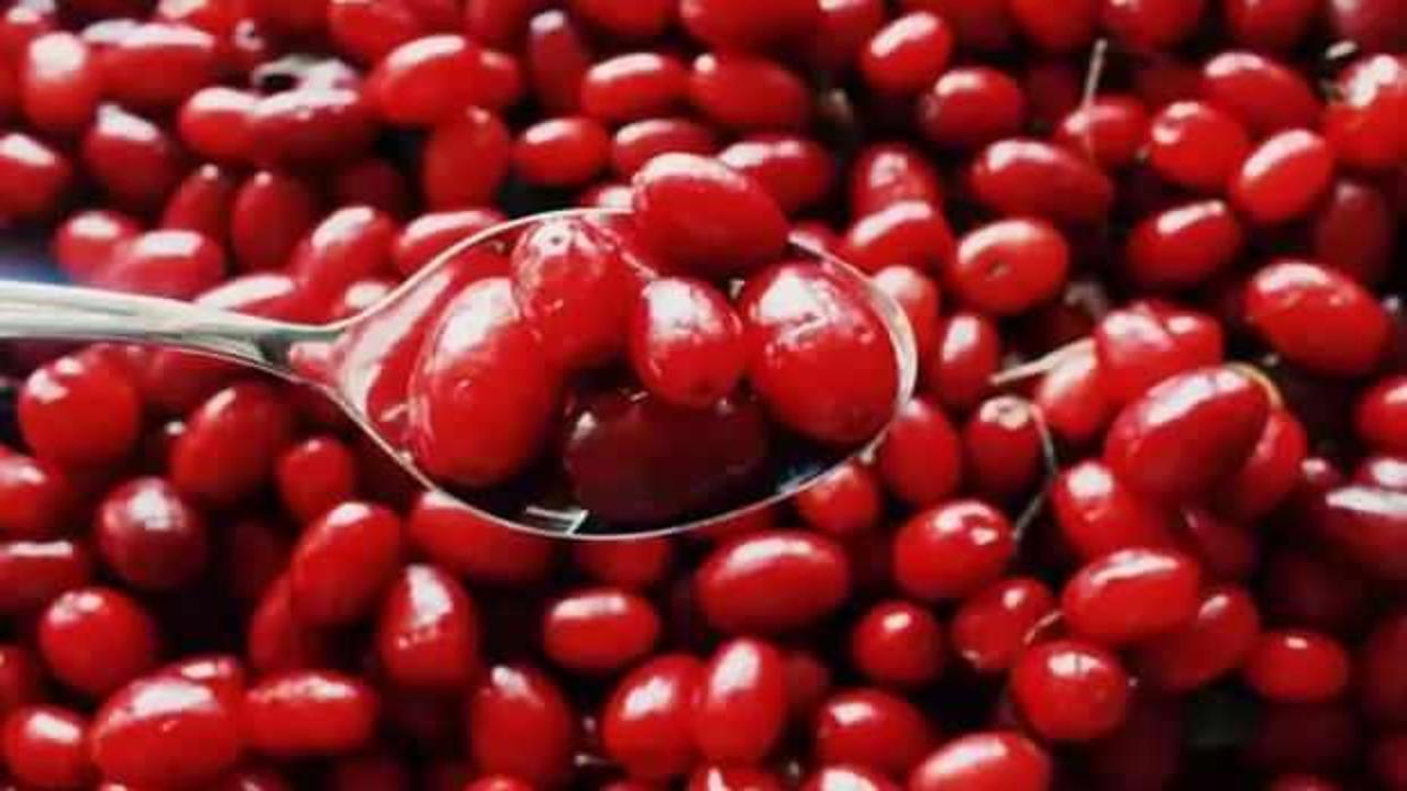 Kızılcık suyu nasıl yapılır? Kızılcık ve kızılcık suyu faydaları!