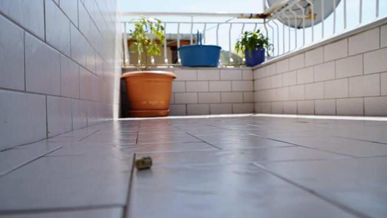 Maganda kurşunu balkonda sepeti deldi