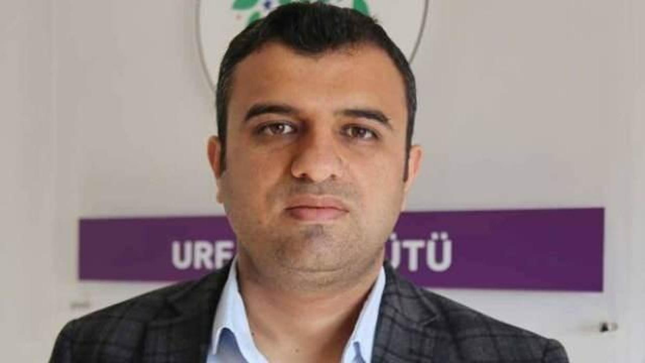 Öcalan’ın milletvekili yeğeninden skandal sözler!