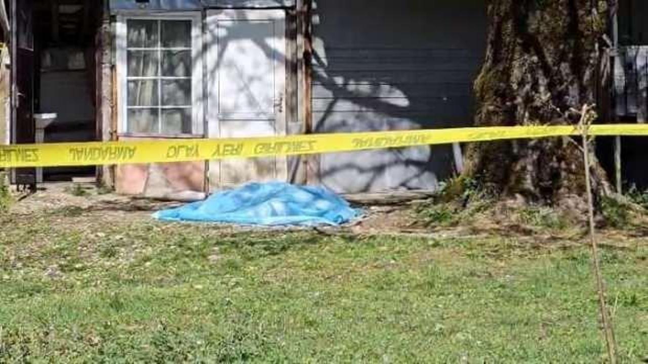 Sakarya’da korkunç olay: Bitki toplarken ceset buldu!