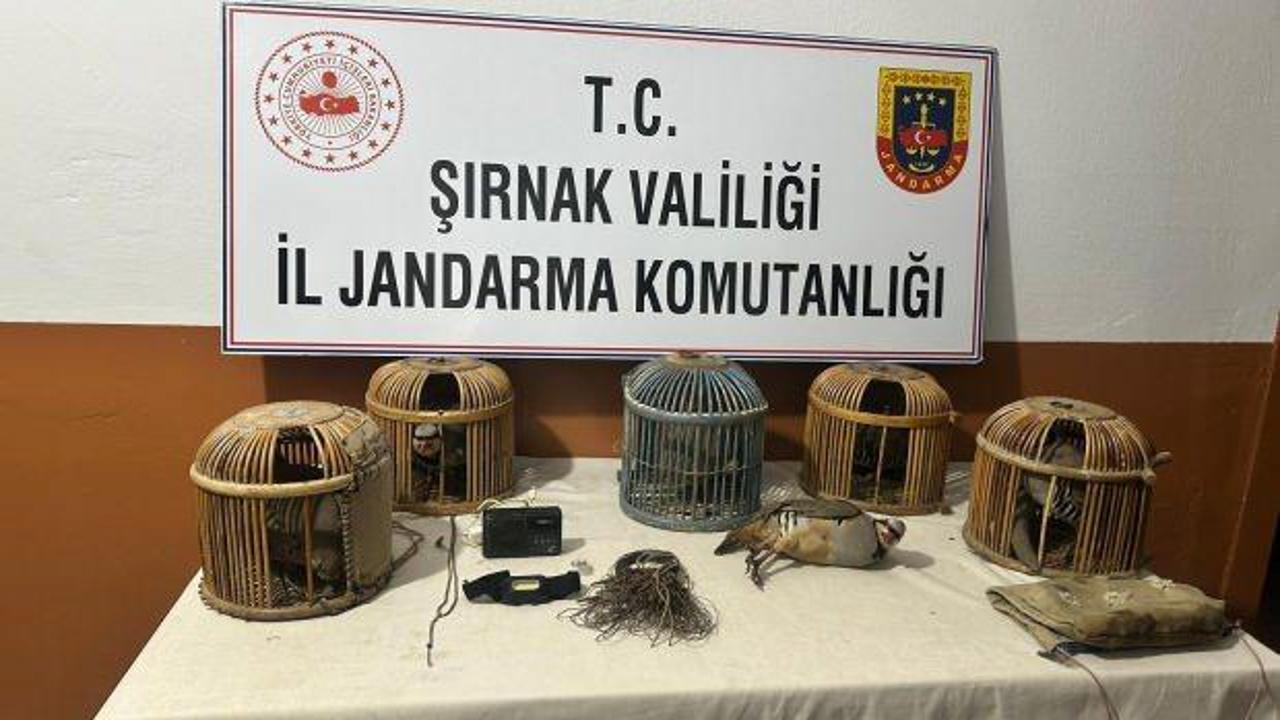 Şırnak’ta keklik avcılarına 67 bin lira ceza