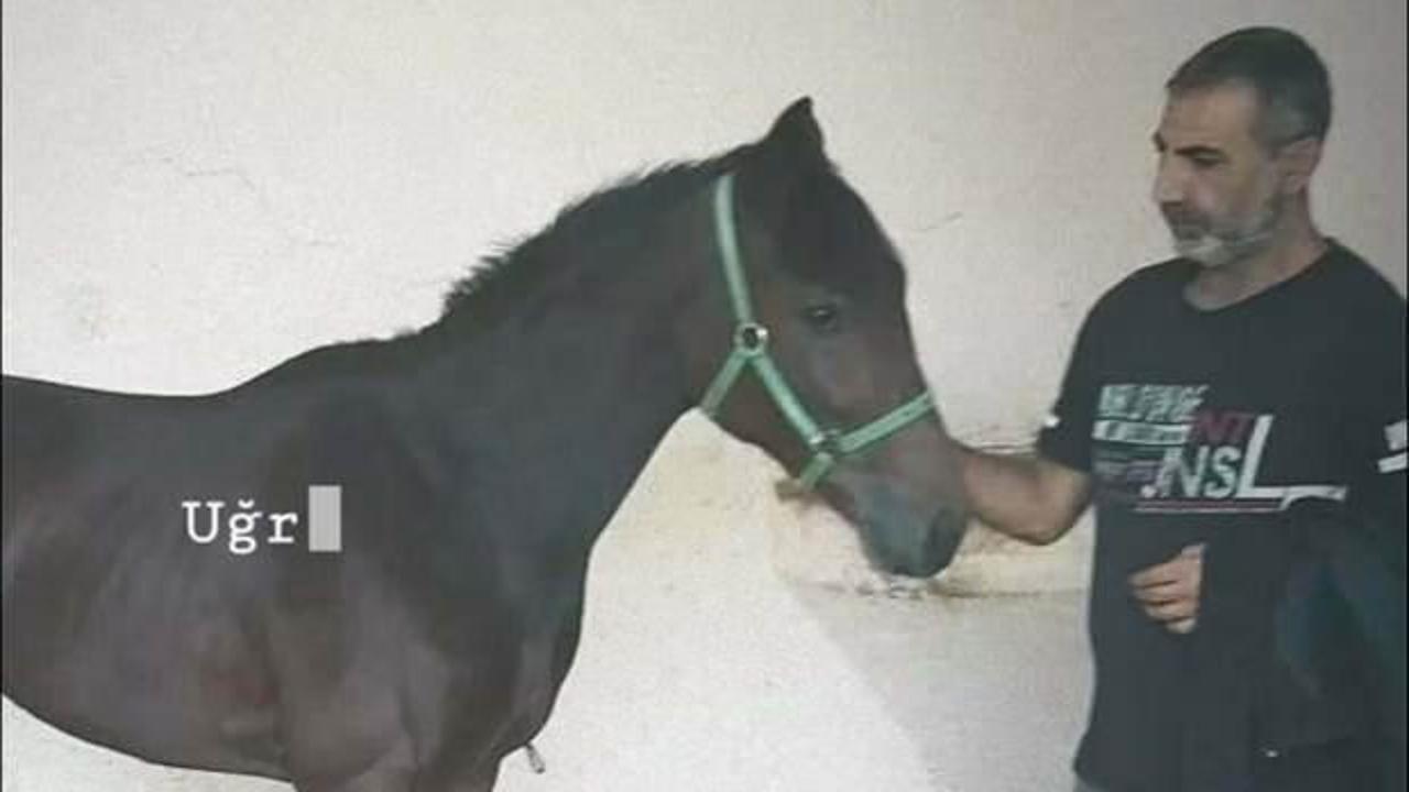 Sokakta karşılaştığı kişi tek yumrukla hastanelik etti: Seyisten acı haber