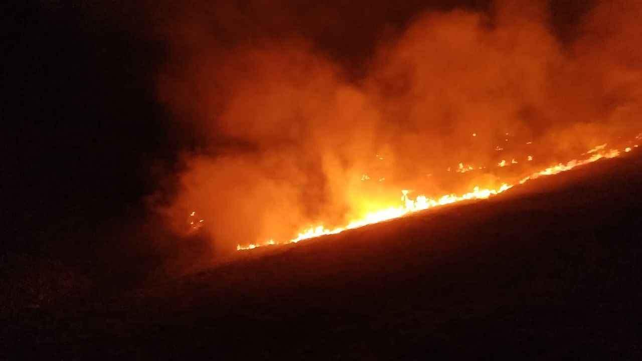 Bodrum'da ormanı yakan sanığın cezası belli oldu