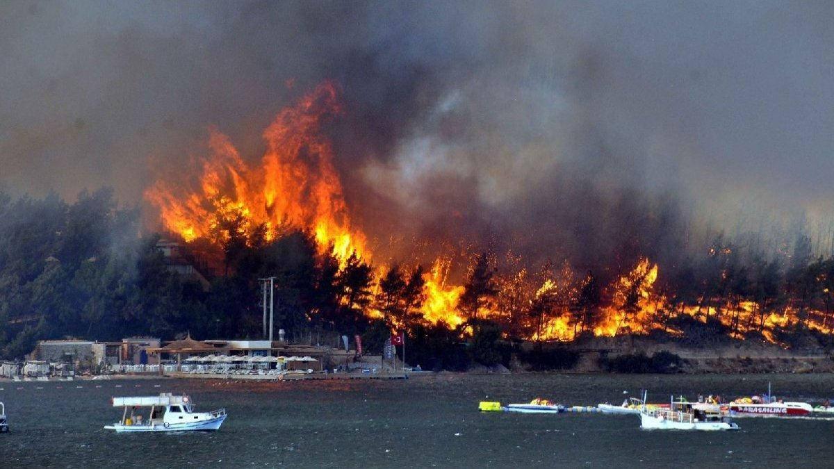 Bodrum'da ormanı para karşılığı yakan PKK'lı teröristin cezası belli oldu!