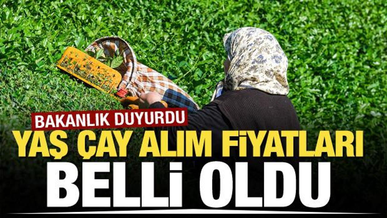 Bakanlık yaş çay alım fiyatlarını açıkladı