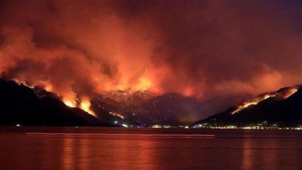 Bodrum’da ormanı para karşılığı yakan PKK’lı teröristin cezası belli oldu!