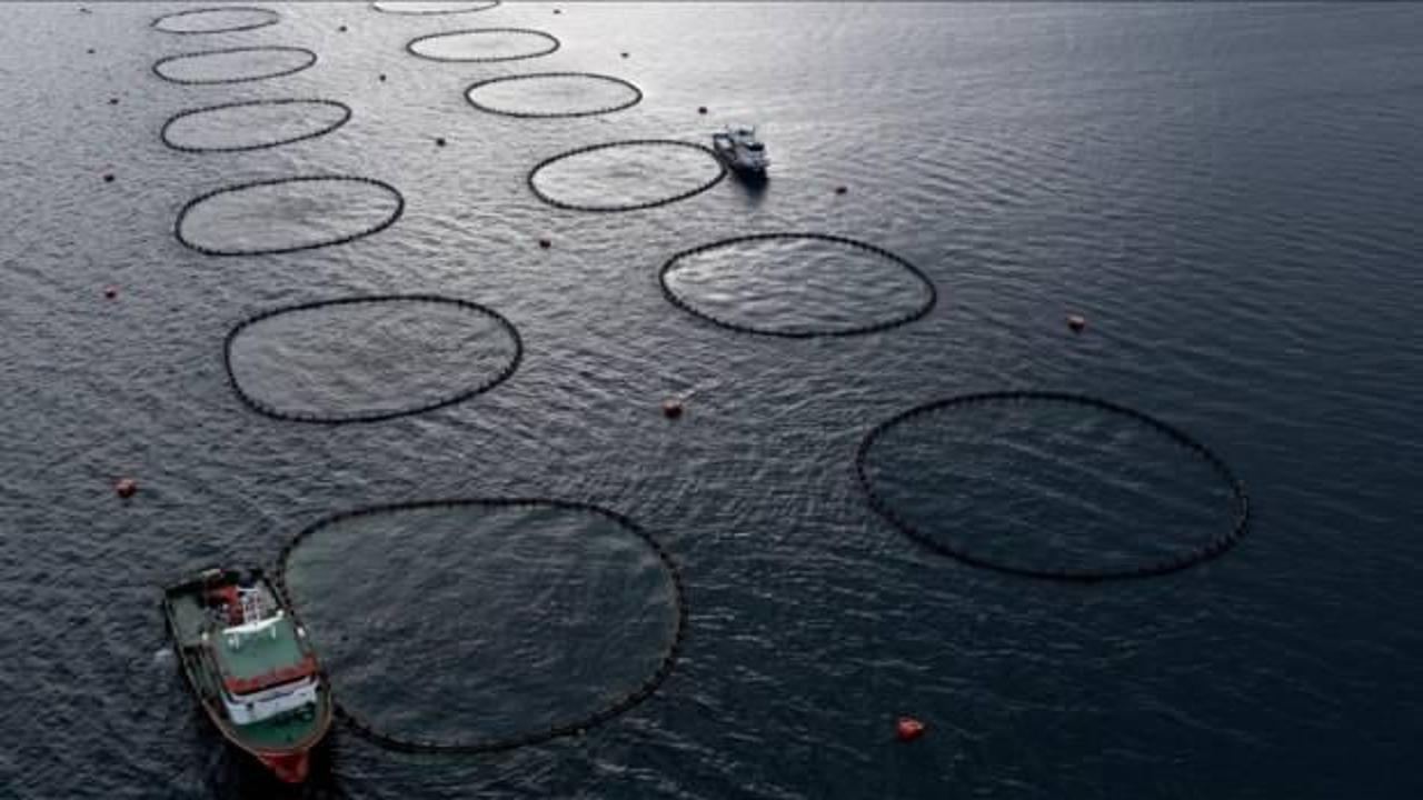 15 ülkeyle görüşmeler sürüyor! Türkiye’nin yeni rotası Afrika ülkeleri